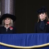 Filename=k_0116.jpg
Filesize=4293KiB
Dimensions=4799x3292
Date added=Jan 06, 2026 k_0116.jpg
