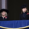 Filename=k_0120.jpg
Filesize=6832KiB
Dimensions=4510x3270
Date added=Jan 06, 2026 k_0120.jpg