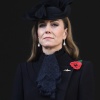 Filename=k_0139.jpg
Filesize=6534KiB
Dimensions=4363x5772
Date added=Jan 06, 2026 k_0139.jpg