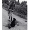 m_0017.jpg