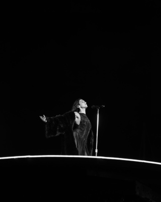 d_0008.jpg