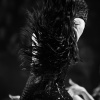 d_0007.jpg
