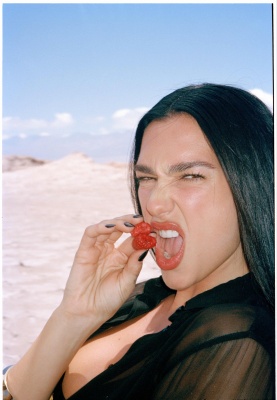 d_0008.jpg