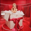 v_0005.jpg