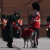 k_0045.jpg