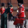 k_0122.jpg