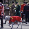 k_0151.jpg