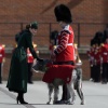 k_0193.jpg