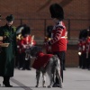 k_0196.jpg