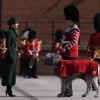 k_0199.jpg
