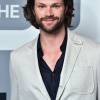 Filename=jared_0001.jpg
Filesize=1088KiB
Dimensions=2718x4083
Date added=Apr 24, 2026 jared_0001.jpg