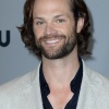 Filename=jared_0009.jpg
Filesize=1441KiB
Dimensions=2400x3600
Date added=Apr 24, 2026 jared_0009.jpg