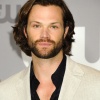 Filename=jared_0010.jpg
Filesize=1968KiB
Dimensions=2594x3850
Date added=Apr 24, 2026 jared_0010.jpg