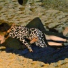 Filename=l_0018.jpg
Filesize=2200KiB
Dimensions=2750x1892
Date added=Jun 08, 2026 l_0018.jpg