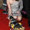 jennifer_0036.jpg