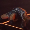 jennifer_0056.jpg